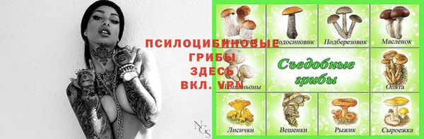 прущий лед Алексин