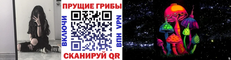 наркота  Бронницы  Псилоцибиновые грибы мухоморы 